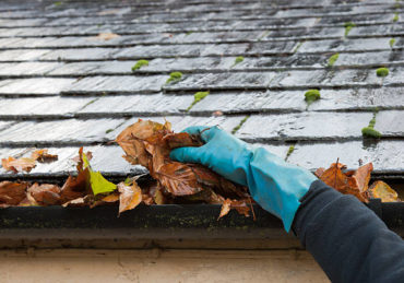 le nettoyage toiture Saint-Didier-au-Mont-d'Or est essentiel pour préserver la durabilité, éviter les problèmes