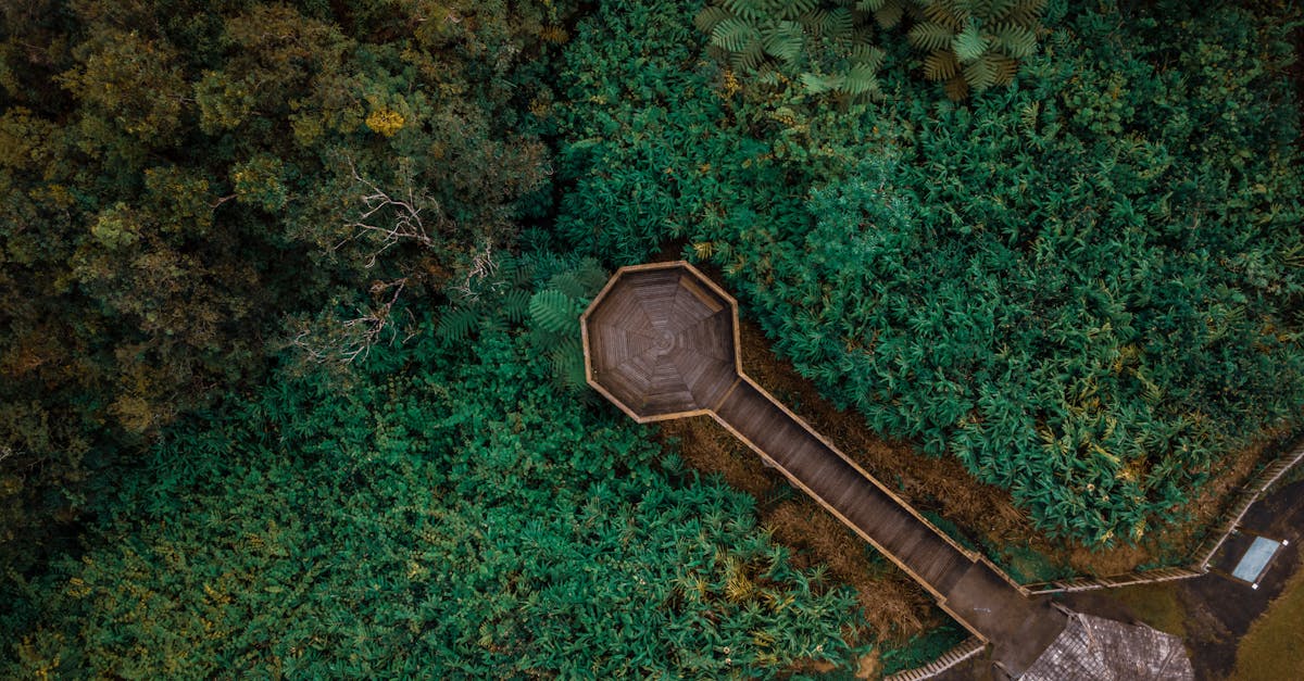 découvrez benoit broyart, un talentueux professionnel passionné par son métier. suivez ses actualités, ses projets innovants et son parcours inspirant dans le monde de [secteur d'activité].