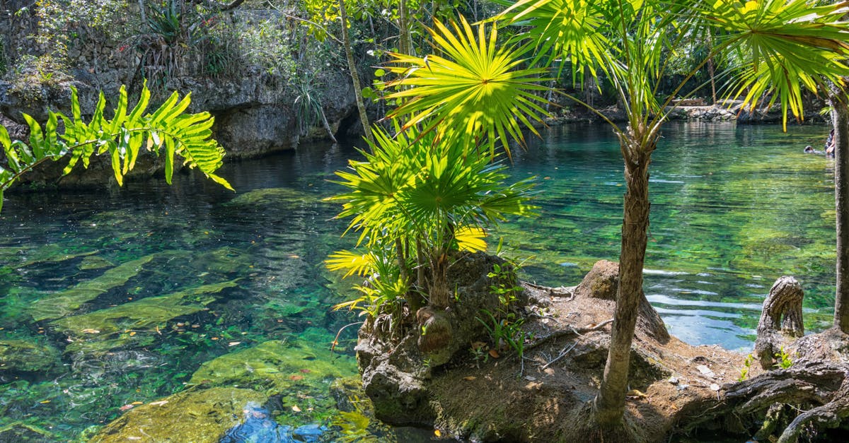 découvrez un véritable coin de paradis où la nature, la sérénité et l'émerveillement se rencontrent. évadez-vous dans un monde de paysages enchanteurs, de plages idylliques et d'expériences inoubliables.