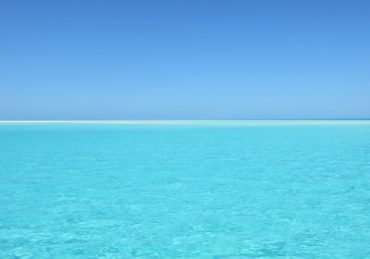 découvrez notre univers enchanteur avec 'paradise', une expérience unique qui éveille vos sens et vous transporte dans un lieu de sérénité et de beauté. laissez-vous séduire par des paysages à couper le souffle et des moments inoubliables.