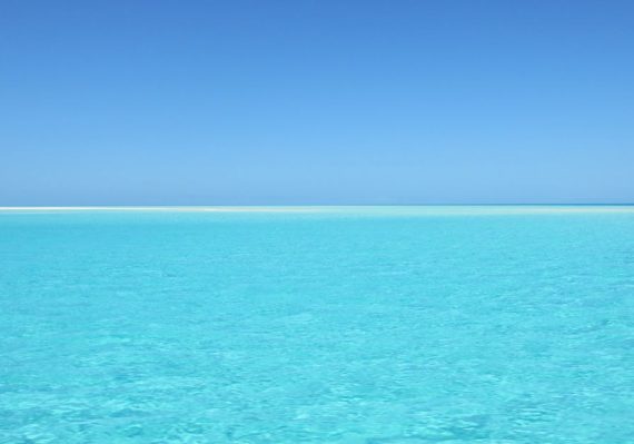 découvrez notre univers enchanteur avec 'paradise', une expérience unique qui éveille vos sens et vous transporte dans un lieu de sérénité et de beauté. laissez-vous séduire par des paysages à couper le souffle et des moments inoubliables.