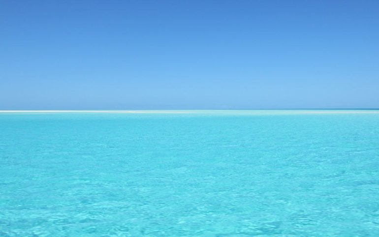 découvrez notre univers enchanteur avec 'paradise', une expérience unique qui éveille vos sens et vous transporte dans un lieu de sérénité et de beauté. laissez-vous séduire par des paysages à couper le souffle et des moments inoubliables.