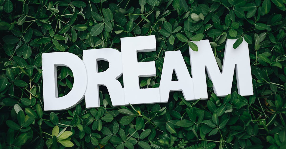 découvrez comment transformer vos rêves en réalité avec des stratégies efficaces, des conseils inspirants et des témoignages motivants pour vous guider sur le chemin de la réussite personnelle et professionnelle.