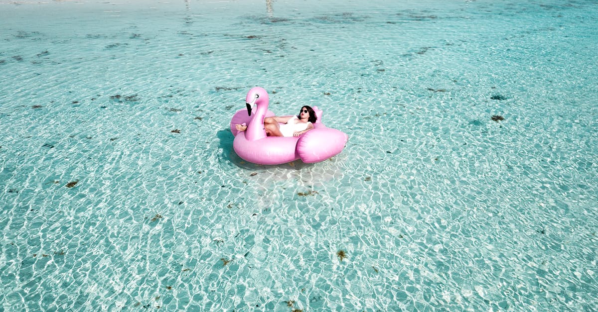 découvrez notre sélection d'inflatables d'été pour divertir toute la famille ! que ce soit des bouées, des toboggans ou des piscines gonflables, profitez des journées ensoleillées en toute sécurité. commandez maintenant et préparez-vous pour des moments rafraîchissants et amusants sous le soleil !
