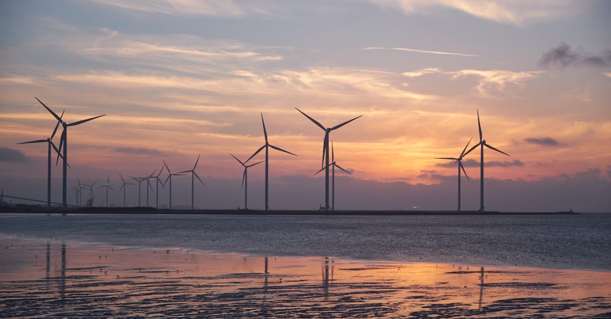découvrez comment adopter des pratiques durables pour protéger l’environnement, économiser les ressources naturelles et construire un avenir plus responsable grâce à la durabilité.