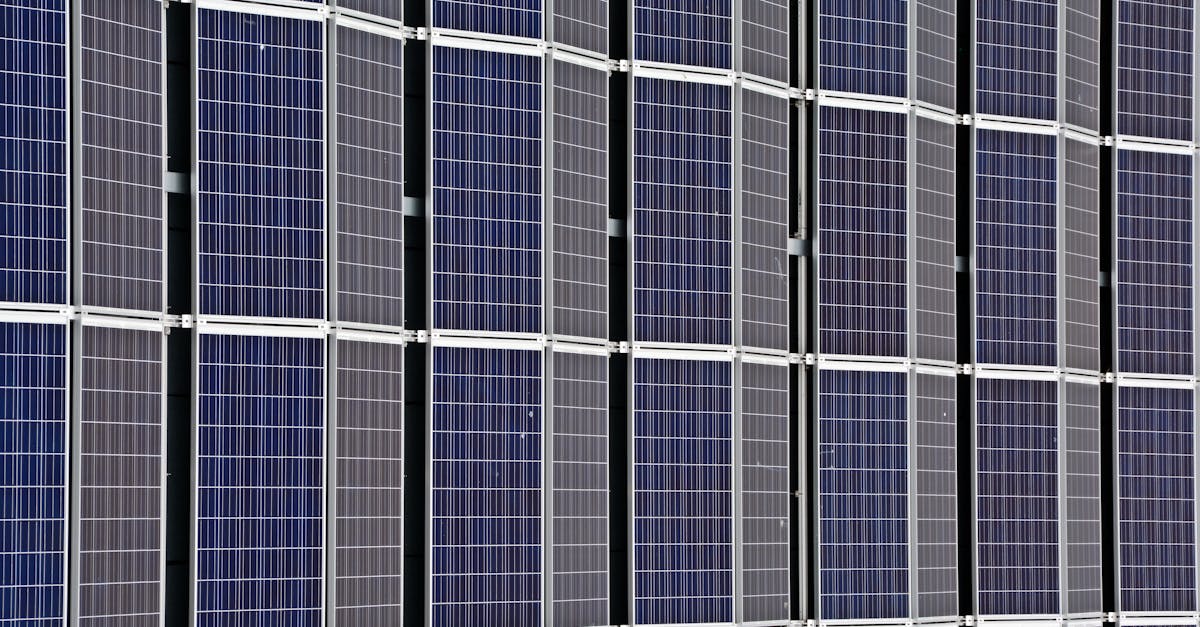 découvrez tout sur la durabilité : principes, enjeux et solutions pour adopter un mode de vie responsable et préserver l’environnement pour les générations futures.