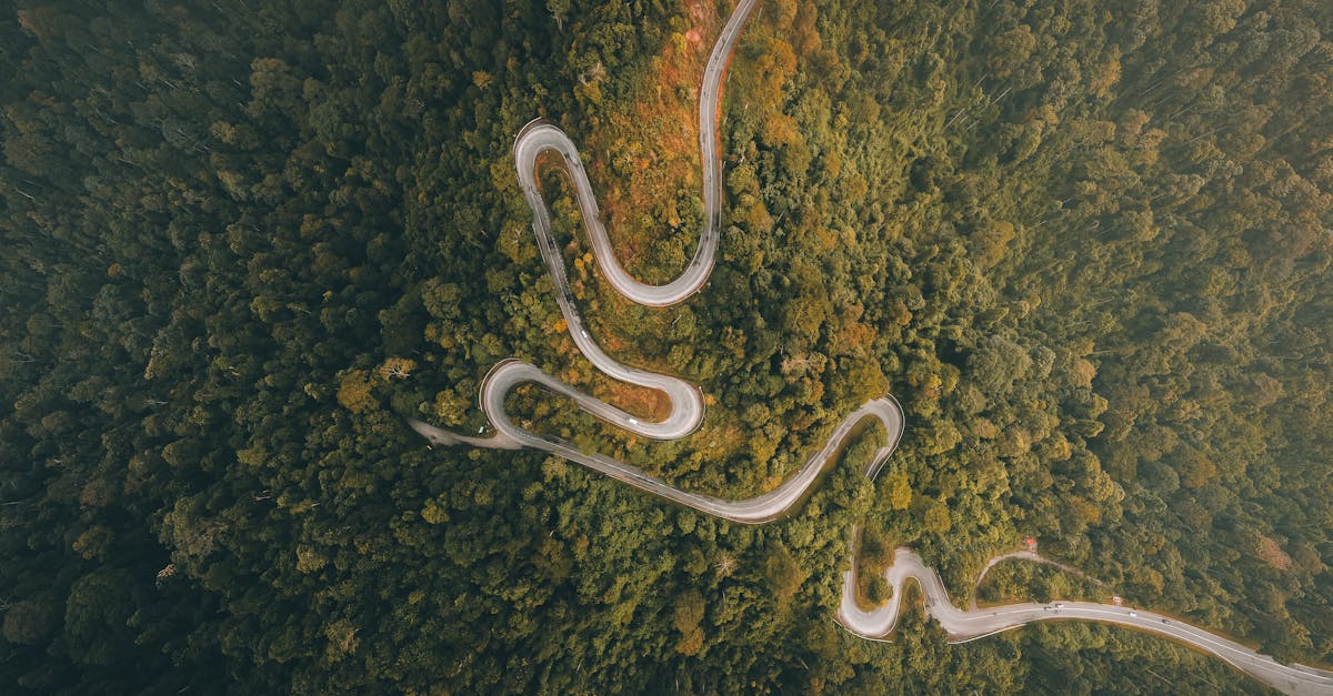 découvrez comment voyager de manière responsable et durable en préservant l’environnement, en soutenant les communautés locales et en réduisant votre impact écologique grâce à nos conseils sur le voyage durable.