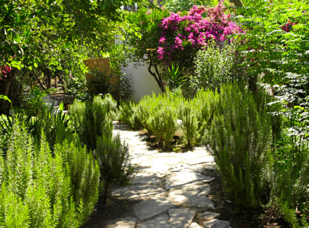 conception de jardin à Cannes